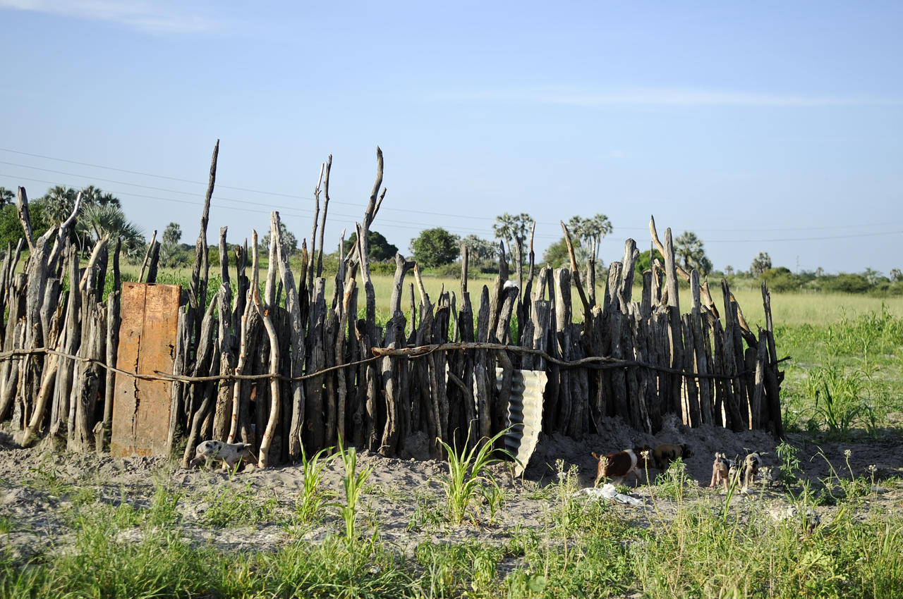 Ongula Village Homestead Lodge Omupumba Buitenkant foto